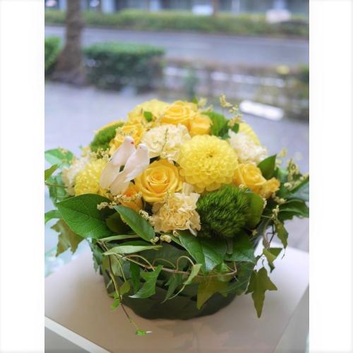 ���[�t�x�[�X�A�����W�����g2