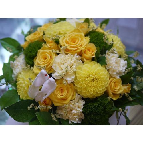 ���[�t�x�[�X�A�����W�����g3