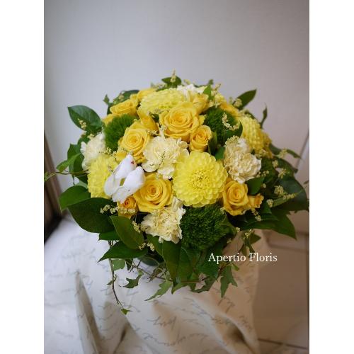 ���[�t�x�[�X�A�����W�����g4