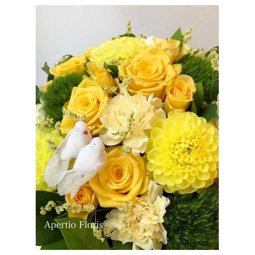 ���[�t�x�[�X�A�����W�����g6