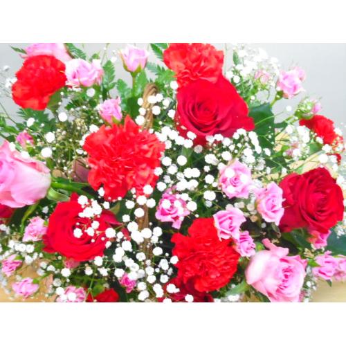 �G���K���g���[�Y�M�t�g�A�����W�����g2