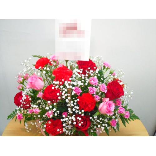 �G���K���g���[�Y�M�t�g�A�����W�����g3