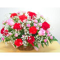 �G���K���g���[�Y�M�t�g�A�����W�����g