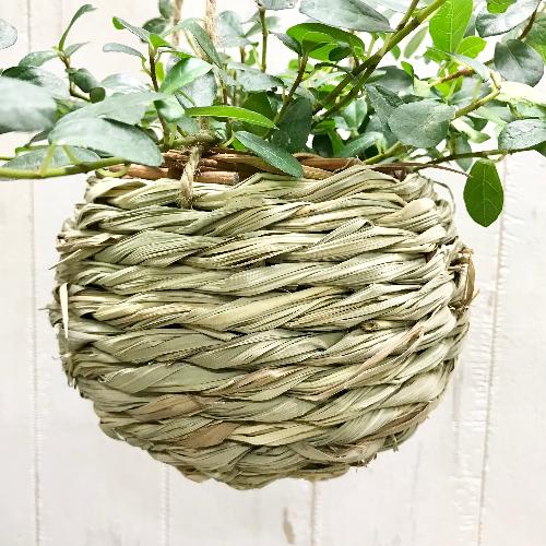 tBJX VO  i`oXPbg  ݂蔫  cKW}  {[nMO3