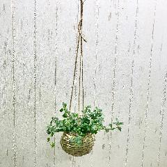 tBJX VO  i`oXPbg  ݂蔫  cKW}  {[nMO