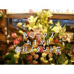 jpEF~bNXX^hԁ@yȔzBnFÉsAABAaz