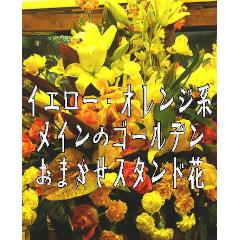J^E^̃CG[EIWn܂X^hԁ@yȔzBnFÉsAAAAaz