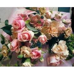 �ԥ󥯡��֡���