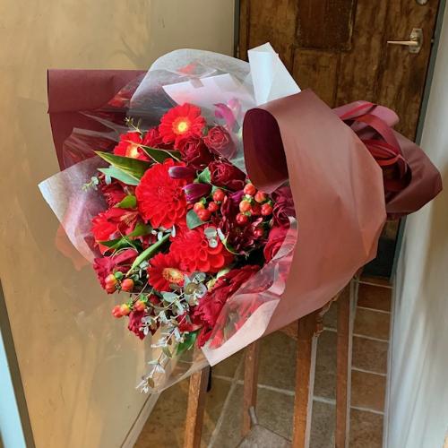 �m�u���C�g�n�؂₩�ȐԂ��ԑ�