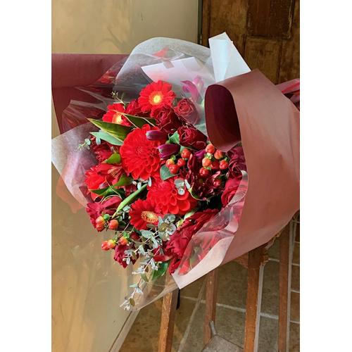 �m�u���C�g�n�؂₩�ȐԂ��ԑ�2