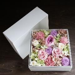 yt@V[zӂJ[BOXAW