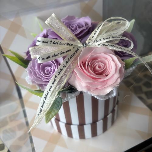 �y�V���{���t�����[�z�X�g���C�v�@�s���N���x���_�[3