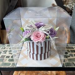 �y�V���{���t�����[�z�X�g���C�v�@�s���N���x���_�[