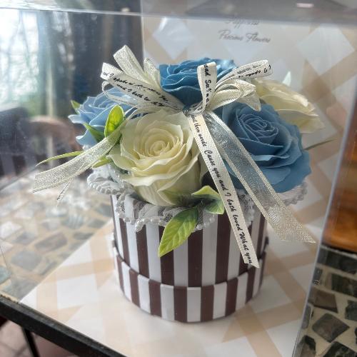 �y�V���{���t�����[�z�X�g���C�v�@���C�g�u���[�z���C�g2