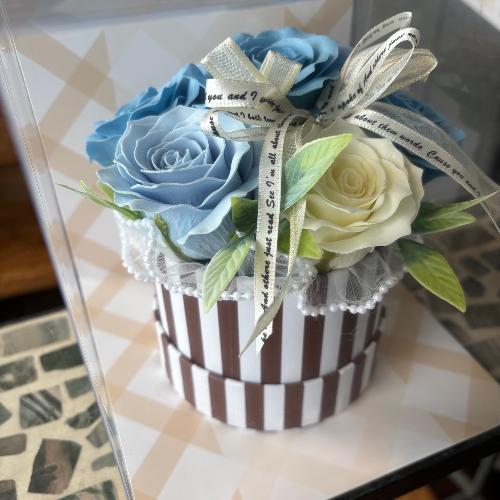 �y�V���{���t�����[�z�X�g���C�v�@���C�g�u���[�z���C�g3