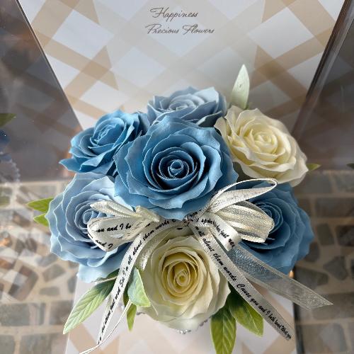 �y�V���{���t�����[�z�X�g���C�v�@���C�g�u���[�z���C�g5