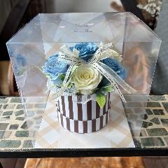 �y�V���{���t�����[�z�X�g���C�v�@���C�g�u���[�z���C�g