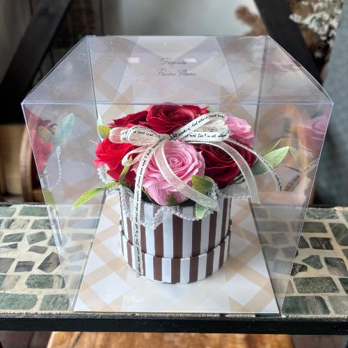 �y�V���{���t�����[�z�X�g���C�v�@���b�h�s���N