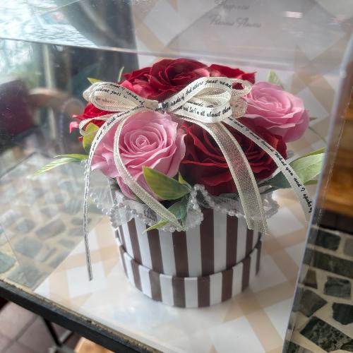 �y�V���{���t�����[�z�X�g���C�v�@���b�h�s���N2