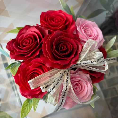 �y�V���{���t�����[�z�X�g���C�v�@���b�h�s���N6