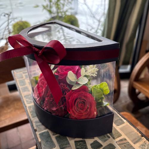 �y�V���{���t�����[�z���b�h�n�[�t�N���ABOX2