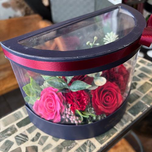 �y�V���{���t�����[�z���b�h�n�[�t�N���ABOX3