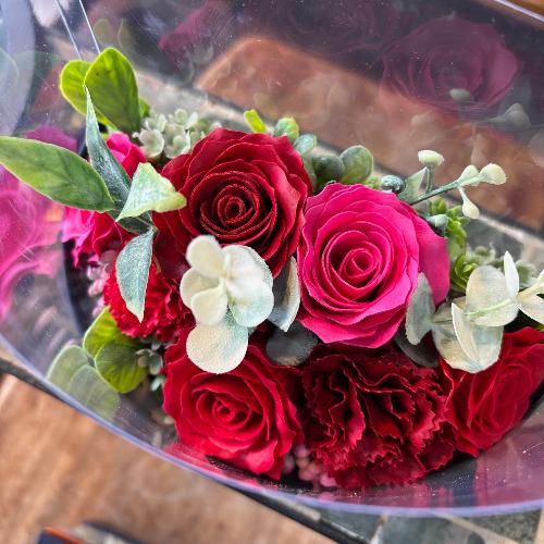 �y�V���{���t�����[�z���b�h�n�[�t�N���ABOX4