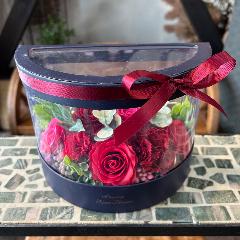 �y�V���{���t�����[�z���b�h�n�[�t�N���ABOX