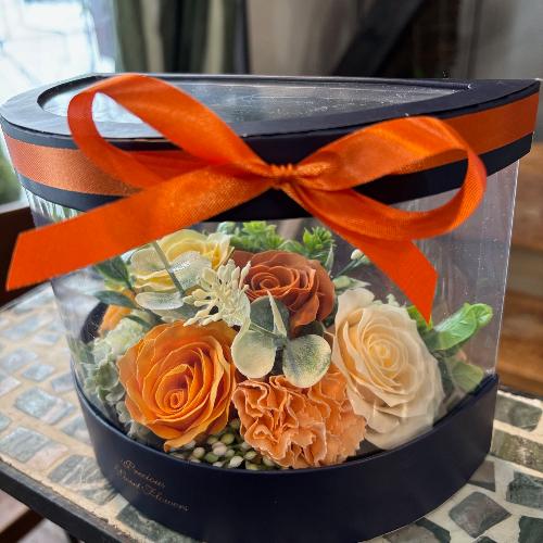 �y�V���{���t�����[�z�I�����W�n�[�t�N���ABOX2