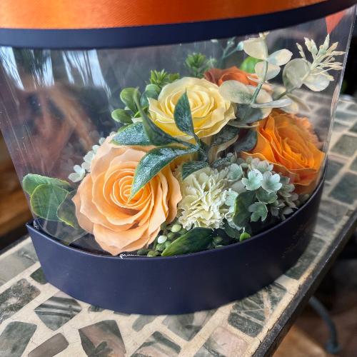 �y�V���{���t�����[�z�I�����W�n�[�t�N���ABOX3