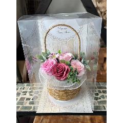 �y�V���{���t�����[�z�����݃s���N�o�X�P�b�g