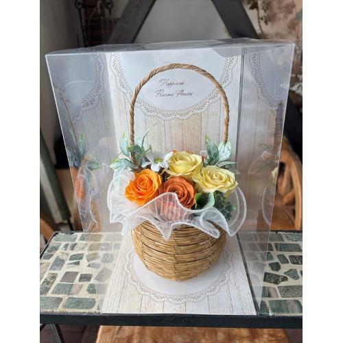 �y�V���{���t�����[�z�I�����W�C�G���[�o�X�P�b�g