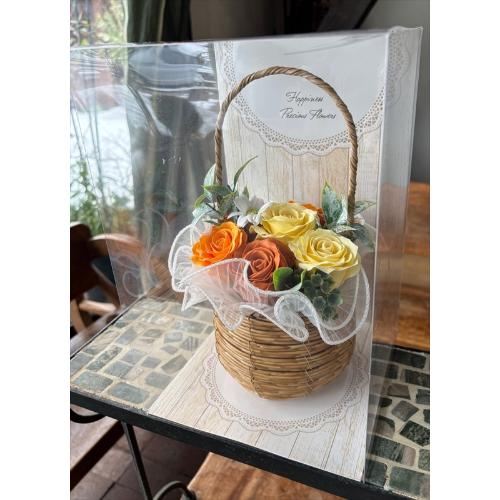 �y�V���{���t�����[�z�I�����W�C�G���[�o�X�P�b�g2