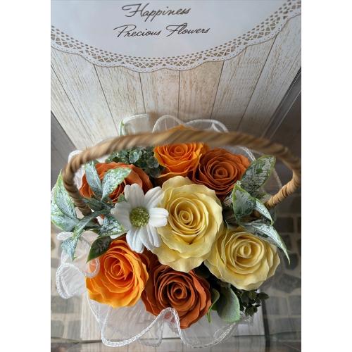 �y�V���{���t�����[�z�I�����W�C�G���[�o�X�P�b�g4