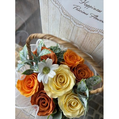 �y�V���{���t�����[�z�I�����W�C�G���[�o�X�P�b�g5