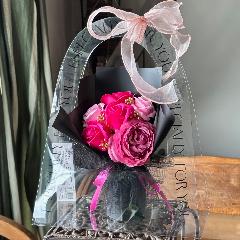 �y�V���{���t�����[�z�N���A�o�b�N�F�s���N