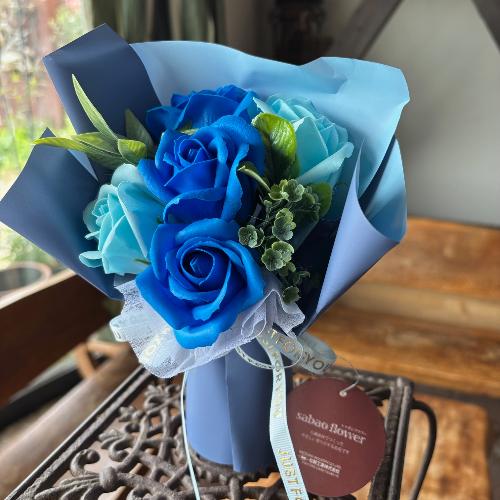 �y�V���{���t�����[�z�X�^���f�B���O�u�[�P�T�F�u���[2