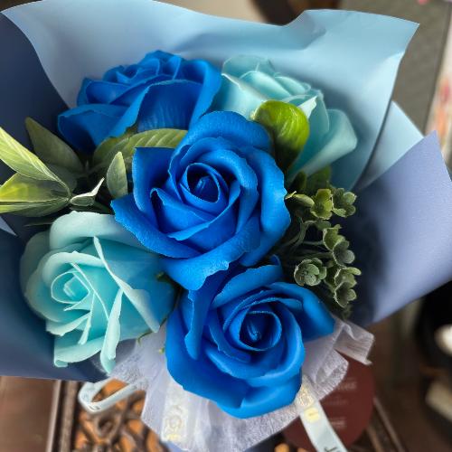 �y�V���{���t�����[�z�X�^���f�B���O�u�[�P�T�F�u���[3