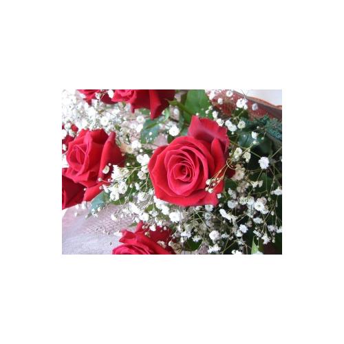 【花束】 赤バラとかすみ草の花束2