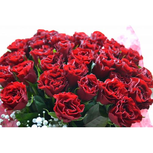 【花束】ゴージャス！赤バラとカスミ草の花束4