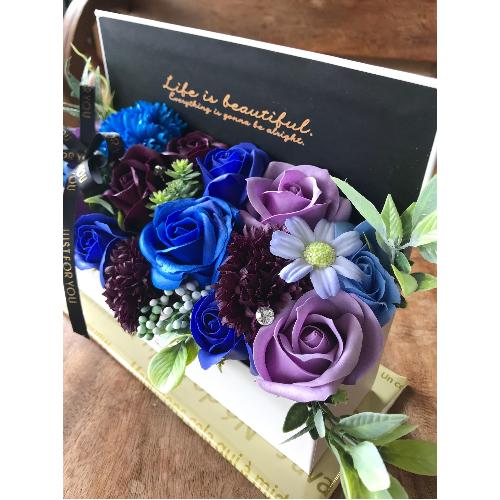 yV{t[zPurple BOX2