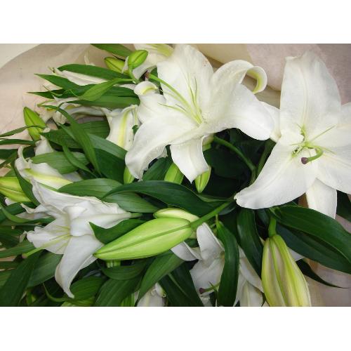 カサブランカ花束 花屋 フラワーショップさら のオリジナル商品 フラワーギフトはプロのお花屋さんにおまかせ フジテレビフラワーネット