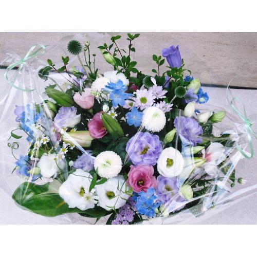 �X�������߁��m���������A�����W