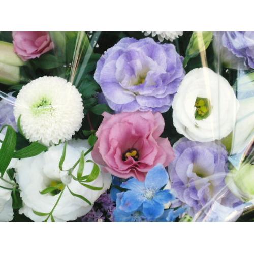 �X�������߁��m���������A�����W3