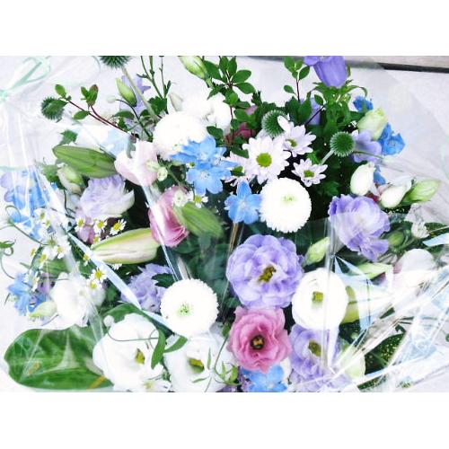 �X�������߁��m���������A�����W4