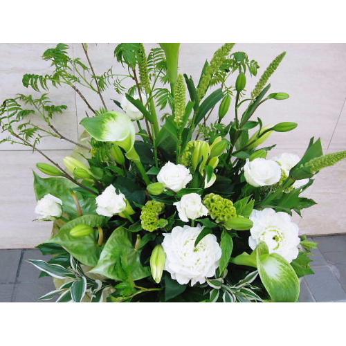 �z���C�g���A�����W