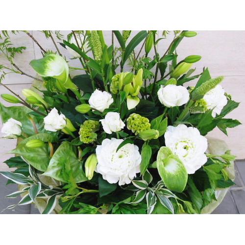 �z���C�g���A�����W2