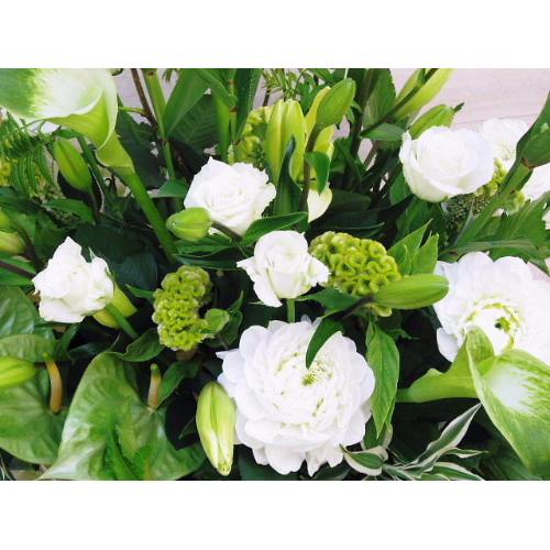 �z���C�g���A�����W3