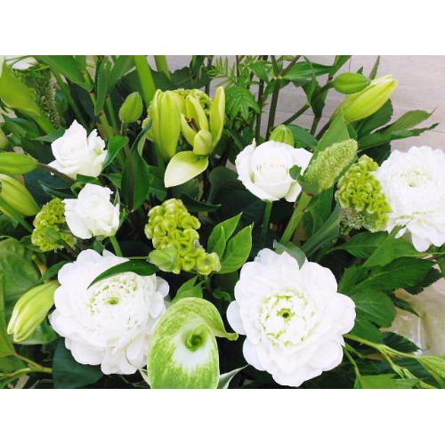 �z���C�g���A�����W4