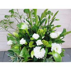 �z���C�g���A�����W